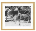 ART PF PP Duke Board Over Shoulder 20x16