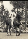 ART PH PP Duke Parade 08x10
